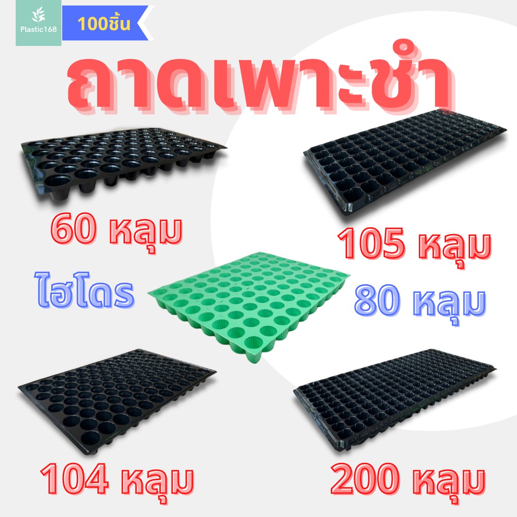 ถาดเพาะกล้า ต้นอ่อน ถาดเพาะชำเมล็ด ถาดเพาะปลูกผัก 60 หลุม 104 หลุม 200 หลุม (100 แผ่น)