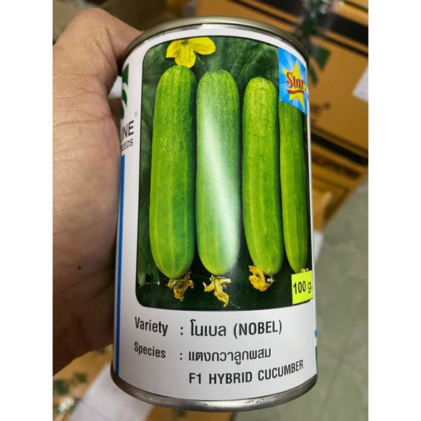 เมล็ดแตงกวา โนเบลสตาร์ ขนาด 100กรัม
