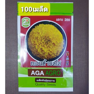 เมล็ดดาวเรืองทเวนตี้ เยลโล่ AGA289 สีเหลืองสดใส100เมล็ด เหมาะสำหรับทุกฤดู ต้นสูงดอกใหญ่ สายพันธุ์ใหม่ ดาวเรืองเอกะ289