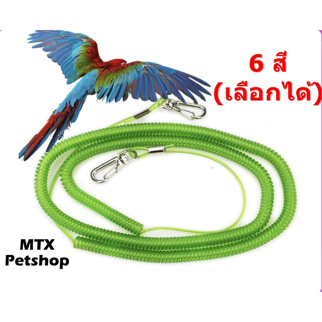 สายจูงคล้องขานก แบบยืดได้ // มี 2 ขนาด 6 สี เลือกเองได้ //