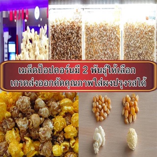 Eagel Mushroom Popcorn เมล็ดข้าวโพดสำหรับทำป๊อปคอร์น แบ่งขาย 450 กรัม