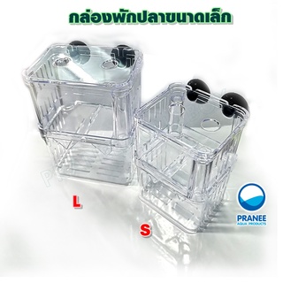 Isolation Box กล่องพักปลาขนาดเล็ก