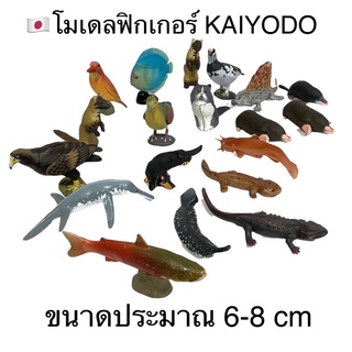 🇯🇵ฟิกเกอร์โมเดล KAIYODO สัตว์ 3 มิติ งานเหมือนจริง