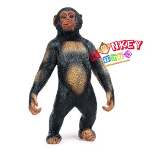 Monkey Toys - โมเดลสัตว์ ลิงซิมแปนซี ขนาด 15.50 CM (จากหาดใหญ่)