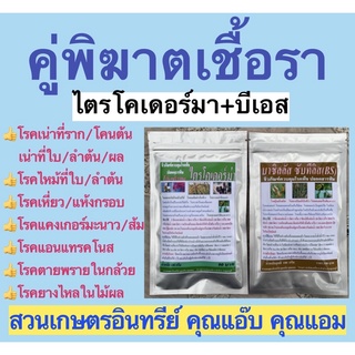 คู่พิฆาตเชื้อรา คู่100กรัม-คู่500กรัม ไตรโคเดอร์มา+บีเอส ป้องกัน/แก้โรครากเน่า โคนเน่า ใบไหม้ ราสนิม แคงเกอร์ แอนแทรคโนส