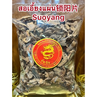 สอเอี้ยงแผ่น锁阳片 Suoyang ซอเอี้ยงแผ่น สอเอี้ยง ซอเอี้ยง