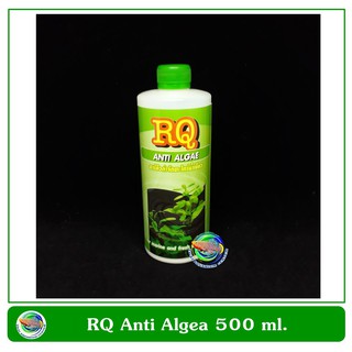 RQ Anti Algae กำจัดสาหร่ายสีเขียว 500 ml. กำจัดตะไคร่เขียว