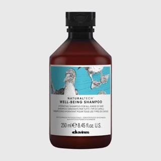 แชมพู Davines Naturaltech Well-Being Shampoo 250ml