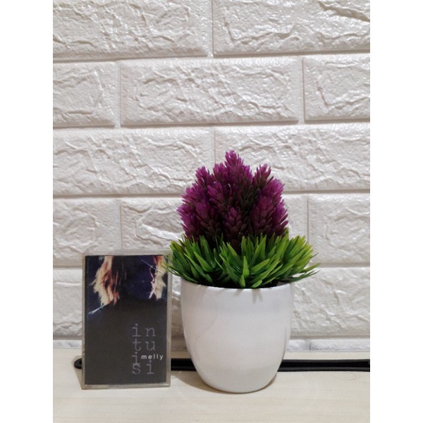 เทปคาสเซ็ท Melly Intuisi