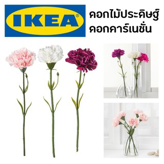 IKEA ดอกคาเนชั่น canation สมึคก้า ดอกไม้ประดิษฐ์, ดอกคาร์เนชั่น, สีขาว, สีชมพู, สีชมพูเข้ม 30 ซม. ดอกไม้ปลอม อิเกีย