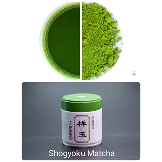 Shogyoku Matcha Ceremonial Grade Matcha 40g มัทฉะเกรดพิธี Uji Kyoto Japan