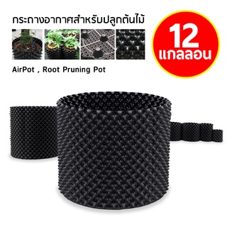 กระถางปลูกต้นไม้ Air Pot กระถางมีรู มี 7 ขนาดให้เลือก 1,3,5,7,10,12,20 แกลลอน  กระถางปลูกต้นไม้ Air Pot สีดำ