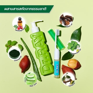 [ซื้อ 1แถม1] Dr.Ray Portable set Wintergreen Oil ดอกเตอร์ เรย์ พอร์ตทิเบิล เซ็ท ยาสีฟัน+แปรงฟันขนาดพกพา