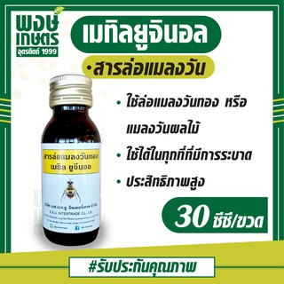 สารล่อแมลงวันทอง เมธิล-ยูจีนอล (30 CC) สารล่อแมลง ฮอร์โมนล่อแมลงวันทอง กับดักแมลงวันทอง กำจัดแมลงศัตรูพืช เกษตรอินทรีย์