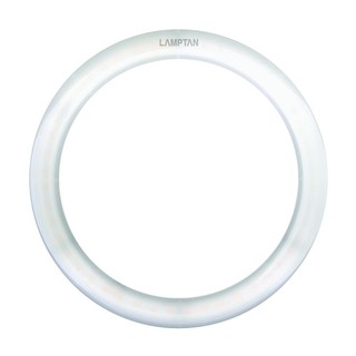 หลอด LED LAMPTAN CIRCULAR SET 24 วัตต์ DAYLIGHT หลอดไฟภายในบ้านเอนกประสงค์