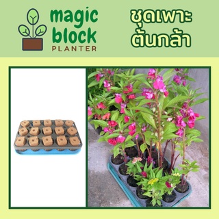 Magicblock ชุดปลูกต้นกล้า / ชุดเพาะต้นกล้า ถาดหลุมพลาสติก