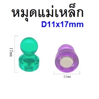 หมุด D11x17mm  หมุดแม่เหล็ก หมุดแม่เหล็กสําหรับติดไวท์บอร์ด ตู้เย็น โลหะต่างๆ 7 ชิ้น/ชุด 14ชิ้น/ชุด