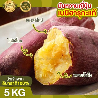 ส่งฟรี มันหวานญี่ปุ่น เบนิฮารุกะ 5kg นำเข้าจากญี่ปุ่น 100% ปลูกที่ญี่ปุ่น หวาน ฉ่ำ สดใหม่ทุกสัปดาห์