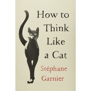 How to Think Like a Cat