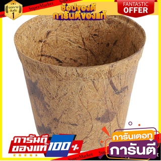 ✨Sale✨ กระถางใยมะพร้าว (6ใบ) SPRING 5.5 นิ้ว สีน้ำตาล  COCONUT FIBER POT SPRING 5.5" BROWN 🚚.💨