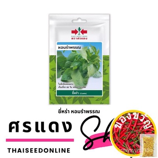 เมล็ดอวบอ้วน100%VP3 ซฟ เมล็ดพันธุ์ ยี่หร่า หอมรำพรรณ ตราศรแดง ซอง 10บาท Shrubby Basilเมล็ดพันธุ์ManilaFlowerCosmosSunFlo