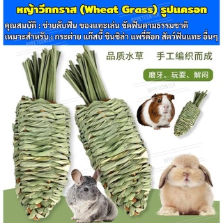 แครอทลับฟัน ผลิตจากหญ้า Wheat grass เกรด A ของเล่นกระต่าย ขนมลับฟันกระต่าย แกสบี้ ชินชิล่า แพรี่ด็อก หญ้าวีทกลาส