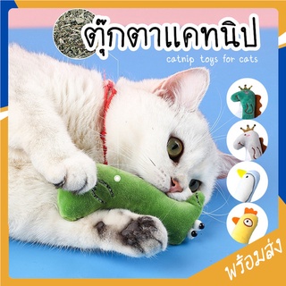 MITI4 พร้อมส่ง ตุ๊กตาแคทนิป Catnip ของเล่นแมว มีกรุ๊งกริ๊ง ของเล่นยัดไส้ ของเล่นหญ้าแมว ตุ๊กตาหญ้าแมว ลายสัตว์ MIP86