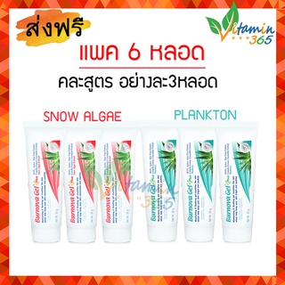 แท้100% (แพค6หลอด คละสูตร) Burnova Gel Plus เบอร์นโนว่า เจล พลัส 25g เจลว่านหางจระเข้ สูตร Plankton x3 -- สูตร Snow alga