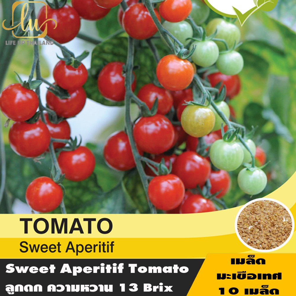 เมล็ดมะเขือเทศ สวีทแอพเพอริทิพ หวานมาก 13 Brix (Sweet Aperitif Tomato) 10 เมล็ด