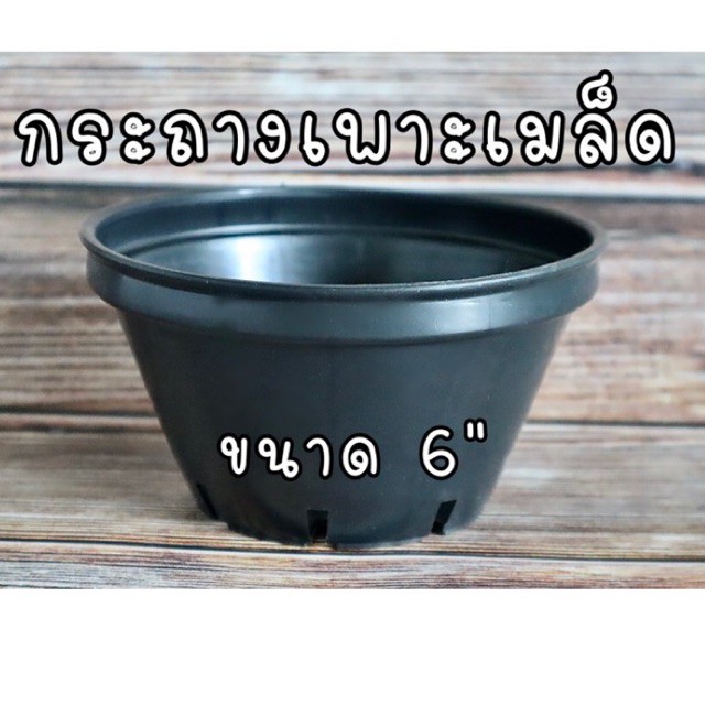 กระถางเพาะเมล็ด 6 นิ้ว กระถาง ทรงเตี้ย ปากกว้าง กระถางต้นไม้พลาสติก แคคตัส  ไม้อวบน้ำ