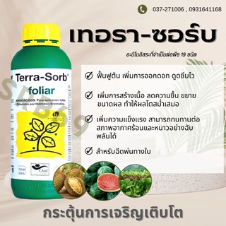 เทอราซอร์บ (Terra-Sorb)