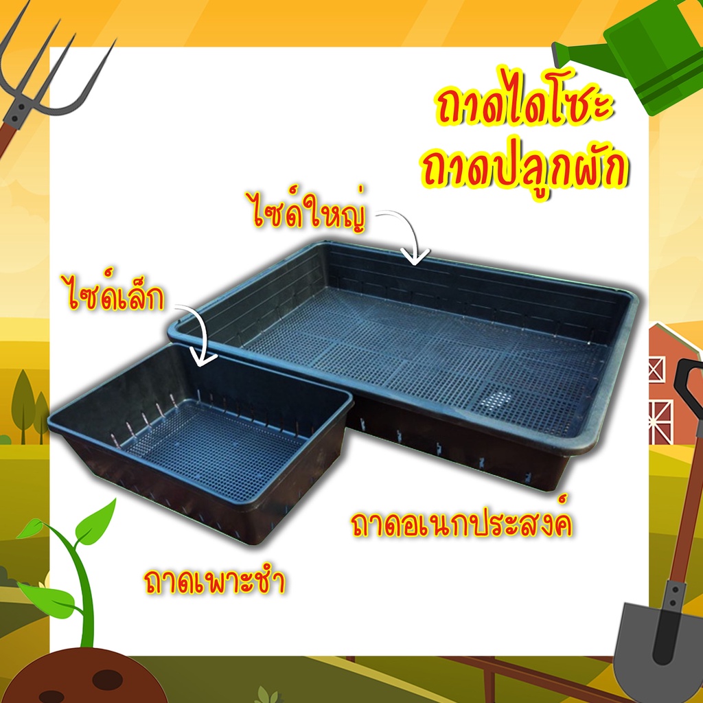 ถาดเพาะปลูก ถาดปลูกผัก มีรูระบายน้ำ พลาสติกหนา แข็งแรง ทนทาน