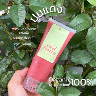 📌พร้อมส่ง ปูนแดง กันเชื้อรา ปูนแดงป้ายแผล🪴ต้นไม้ (P003)