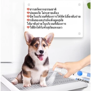 AL-356 สเปรย์ฝึกการขับถ่าย ให้ฉี่ ห้ามฉี่ สำหรับสัตว์เลี้ยง สุนัข หมา แมว ปลอดภัยไร้สารตกค้าง ราคาถูก พร้อมส่ง🐶🐱