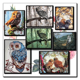 40*50 cm DIY ภาพวาดสีน้ำมัน ภาพระบายสีตามตัวเลข  Oil Painting Paint By Numbers on Canvas owl