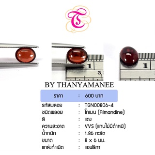 พลอยโกเมนหลังเบี้ย  Almandine ขนาด 8x6 มม. พลอยแท้ มีใบรับรอง