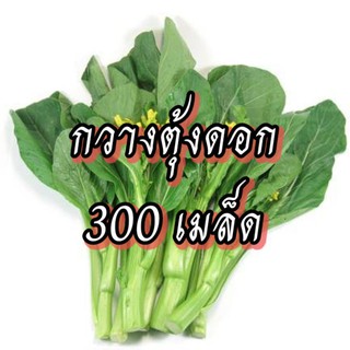 เมล็ดผักกวางตุ้งดอก เมล็ดผักสวนครัว เมล็ดผัก5บาท