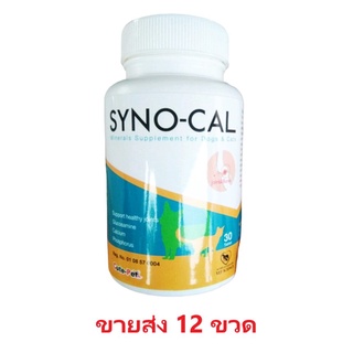 [ขายส่ง 12 ขวด] Syno Cal บำรุงกระดูก สุนัข-แมว ข้อต่อ สะโพก โครงสร้าง (30 เม็ด/ขวด)