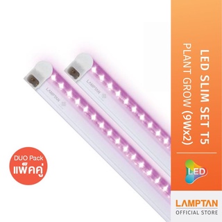 แท้100%รับประกัน1ปี LAMPTAN Slim Set T5 Plant Grow ชุดหลอดไฟรางปลูกต้นไม้