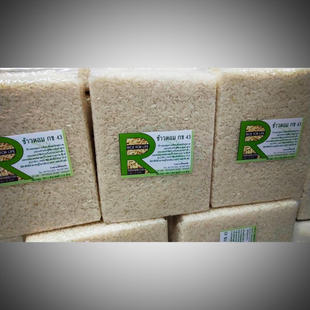 กข 43 ข้าวขาวหอมมะลิ