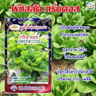 เมล็ดผักสลัดกรีนคอส (Green Cos) 200 เมล็ดโดยประมาณ (เมล็ดพันธุ์ผัก เมล็ดพันธุ์พืช ผักสวนครัว ตราภูเขาทอง)