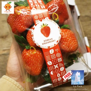 สตรอเบอรี่เกาหลี Strawberry พรีเมี่ยม KOREA I 한국 딸기 (1แพ็ค/330g.)+++ แถม FREE ถุงน้ําแข็งเก็บความเย็น +++