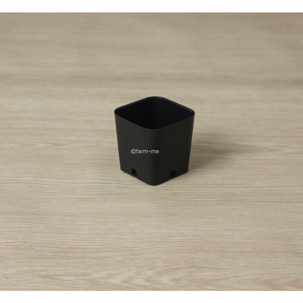 กระถางแคตตัสเหลี่ยม สีดำ 2นิ้ว100ใบ รุ่น CUBE
