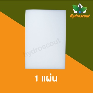 ฟองน้ำปลูกผักไฮโดรโปนิกส์คุณภาพดี  1  แผ่น by hydroscout