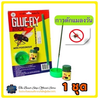 The beast shop_(1ชุด) กาว กาวดักแมลงวัน ผลิตภัณฑ์กำจัด แมลงสาบ แมลงสาป กาวดักแมลง พร้อมอุปกรณ์ครบชุด glue fry stick