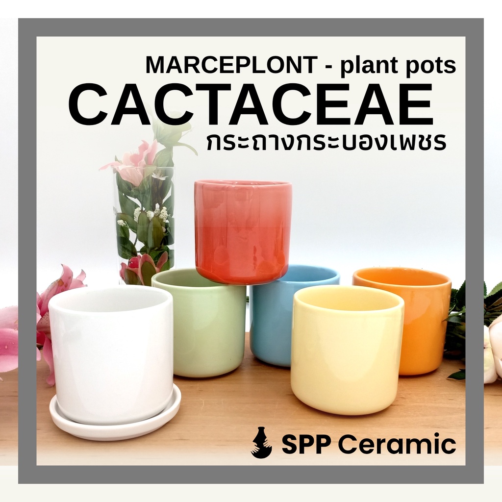 🌵 SPP – CACTACEAE กระถาง เซรามิคเคลือบเงา จานรอง ทรงกระบอก สูง 8.5 ซม กระบองเพชร ต้นไม้เล็ก Pastel Macaron Cactus Pot De