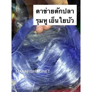 #มองใยบัว #ข่ายรุมหู #ตาข่ายดักปลา #เอ็นใยบัว 🔺 ลึก 20 ตา ป้าย 200 เมตร มีหลายขนาดตาให้เลือก
