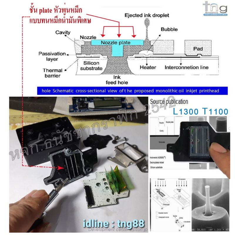 หัวพิมพ์เอปสัน Epson L1300, T1100แท้ JPN ร้านไทยเปิดมา 26 ปี ไม่เสี่ยงถูกหลอกจากต่างประเทศ