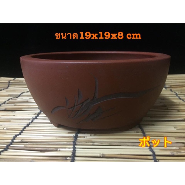 My Image 23