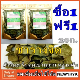 โปร1แถม1 รางจืด ถุงซิปล็อค ห่อละ 20 กรัม ใบชา อบแห้ง สมุนไพร แท้ 100% ใช้ ชงชา ลดความดัน เบาหวาน ต้านมะเร็ง ออร์แกนิค165